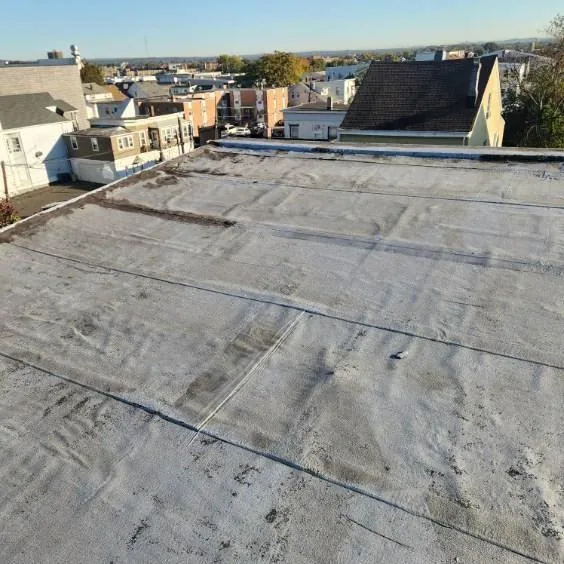 Reading a Flat Roof Moisture Survey — Budget Planning