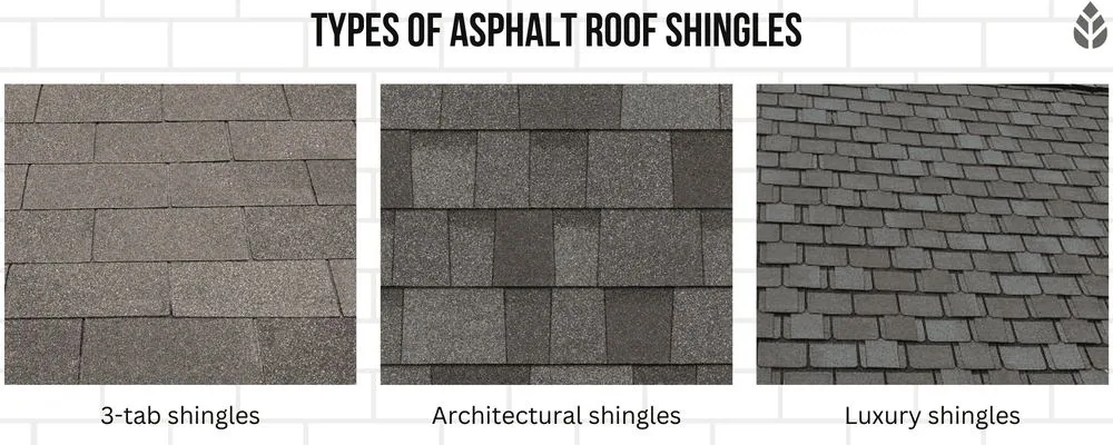 What a Roof Tune-Up Includes — What Changed This Year