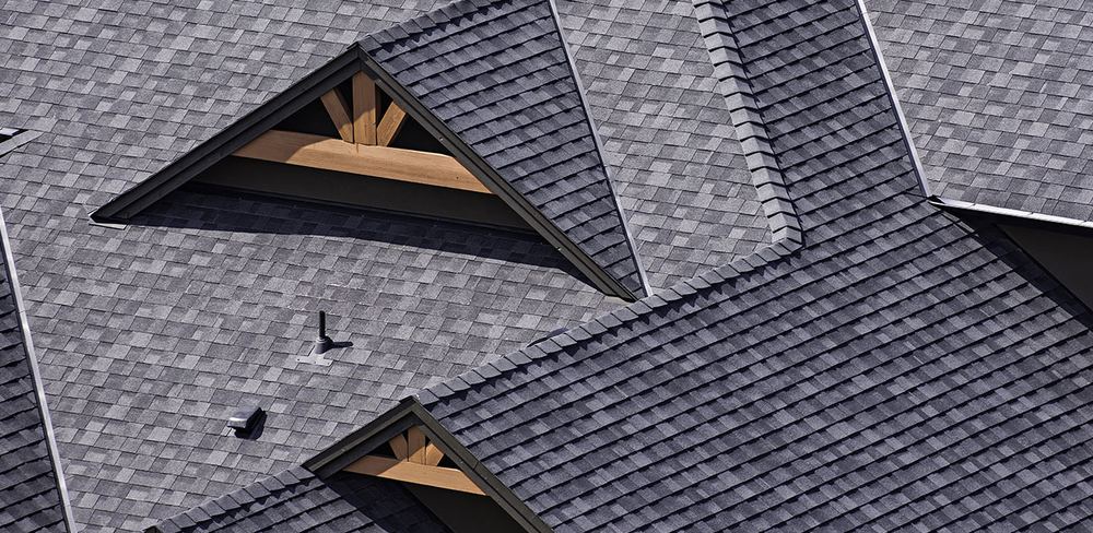 Tree Overhang and Roof Life — Quick Reference