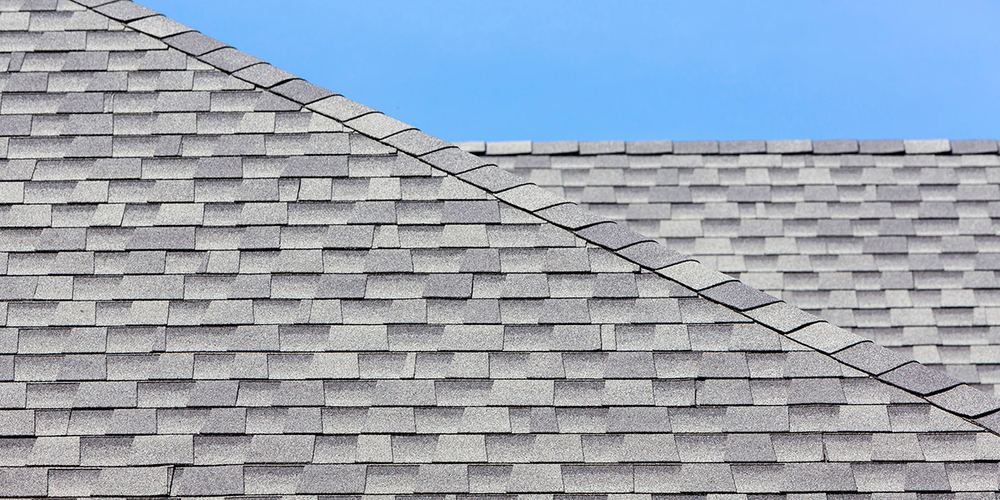 Tree Overhang and Roof Life — Homeowner Checklist