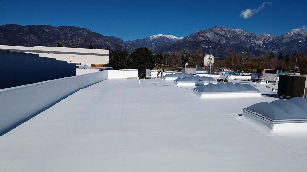 How Long Does TPO Last in the Whittier Hills? — Step by Step