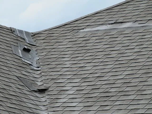Storm Chasers: How to Spot One — Materials Compared
