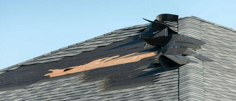 Wind Damage: What Adjusters Look For — Quick Reference